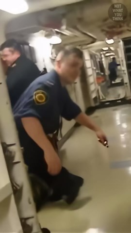 Have you got 'Sea Legs'?