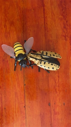 Insects Fight Bee vs Hornworm Tiny War