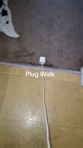 Plug Walk | plug walk