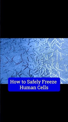 How to Pause Life in a Freezer