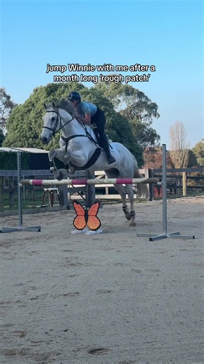 Overcoming Obstacles: Riding Confidence and Effectiveness