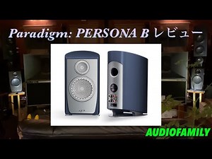 Paradigm: PERSONA B review‼️悩みに悩んでからの動画削除‼️再セッティング撮り直し動画💦