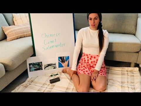 [ASMR] A Relaxing Animal Lesson On The Giant Salamander