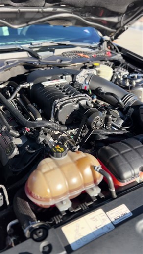 Fast Cars in the Family: A Mustang GT POV Experience