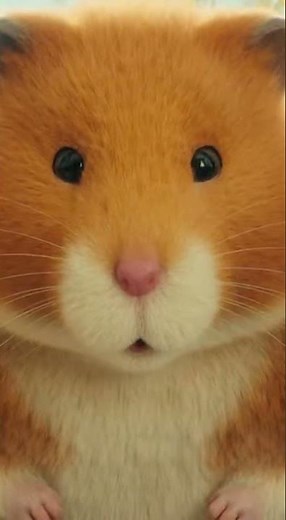 Grandma's Exploding Hamster Surprise!