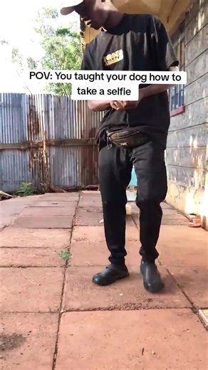 Teaching Your Dog to Take a Selfie
