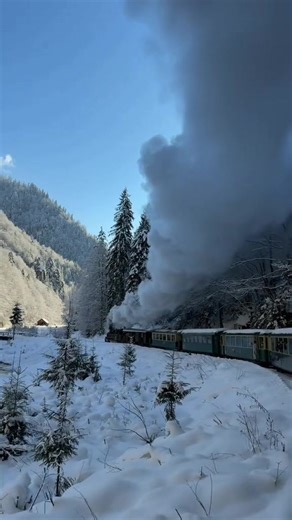 What keeps things moving? In the Romanian north, when winter locks the valleys and snow quilts the spruce forests into silence, the Mocănița still answers the call. Steam blooms against the cold like a defiant flower, iron wheels bite frozen rail, and motion is negotiated inch by inch. This is tourism stripped of gloss, where Romania shows its teeth and tenderness at the same time, and the season does not apologize for being severe. The science is elemental and unapologetic. Combustion bullies w