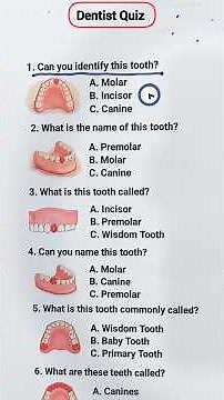 🦷 Teeth Anatomy Quiz 😁 Can You Name These 7 Teeth? | Dental Quiz Challenge #shorts #dental