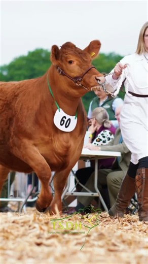 Devon County Show over and out!