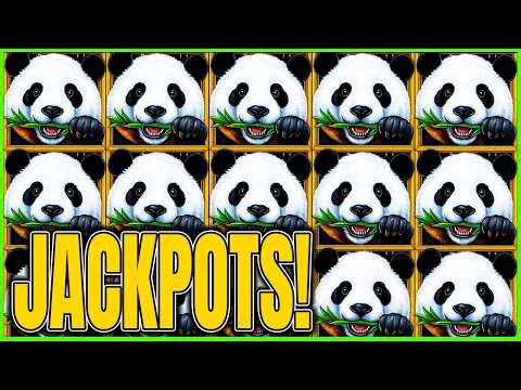 She Absolutely Destroyed Dragon Link! JACKPOTS on Million Dollar Panda Magic Slot