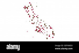 Abstract Particles Form the California State Shape