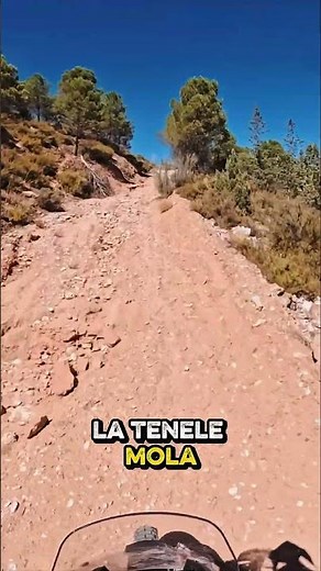 What do we call the VOGE DS800 RALLY??