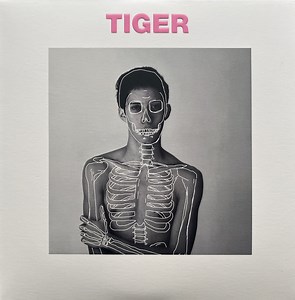 The Sound Of Animals Fighting - Tiger And The Duke