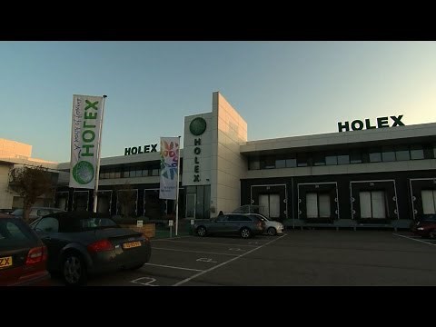 Holex Flower Export in 3 minutes