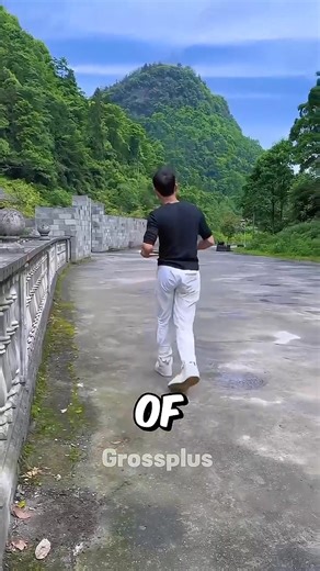 Algae art | Relike vibes