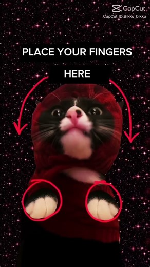 MERRY CHRISTMAS PIXELCREW!! #christmas #music #cutecat