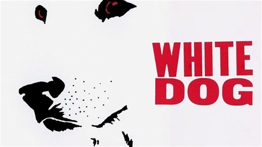 White Dog