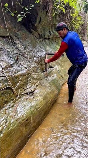 pure gold dust mining process maret2026⚒️ovascotia #longweekend