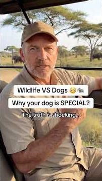 Comment “routine” and I’ll send you the routine ❤️https://amzn.to/45n5wnO