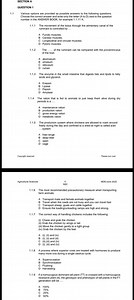 SECTION AQUESTION 11.1 Various options are provided as possi... | Filo