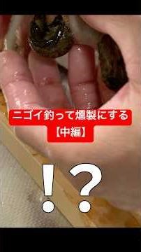 ニゴイ釣って燻製にする【中編】 #魚さばき #ニゴイ釣り #ニゴイ料理 #燻製