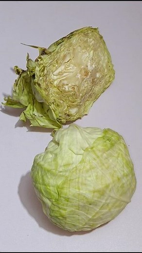 How to make cabbage last long outside the fridge fridge.