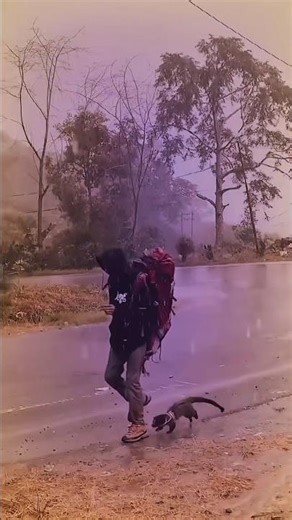 Through Thick and Thin with My Ferret 🥰🐾