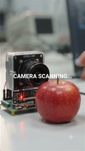 AI-powered real-time object detection using Computer Vision by Falah Digital Solutions.