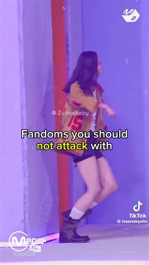 Fandoms You Shouldn’t Attack: K-pop & Fandoms to Avoid