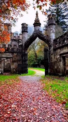 Ireland is so beautiful 🏰😍💚 Tag who you’d go with! 🙌🏼🥰 | Miracles Of Nature