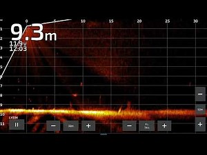 Real-Time Zander Tracking with Garmin Panoptix Livescope LVS34