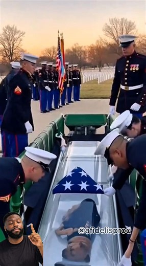 This dog received a national honour at its funeral. #dogs #doglovers #viral #fyp #sai | A Fidelis Production