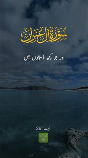 Is God Focused Only on Humans?