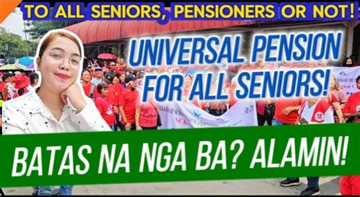 14K views · 188 reactions | UNIVERSAL PENSION FOR ALL SENIORS! BATAS NA NGA BA? ALAMIN! #UniversalPension #SeniorCitizens #highlights2025 #highlights #highlights2025followerseveryone | Glenda Tutorial | Facebook