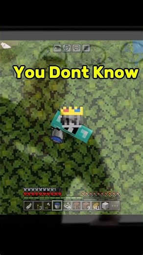 100 Days Survive in Minecraft World