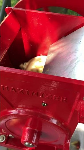 Grinding Apples for Cider