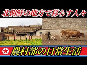 The Reality of Starvation: Why People in Rural North Korea Can't Escape Poverty | The Daily Life ...