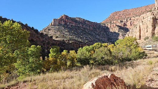 Lisa Commisso on Reels