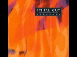 The Final Cut - Clean the Machine