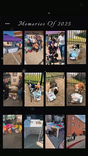 2025 Impact Recap: Paws 4 A Cause Pet Food Pantry