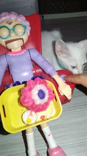 🐼 white cat and Granny asmr #asmr #granny #trending #viral #shorts