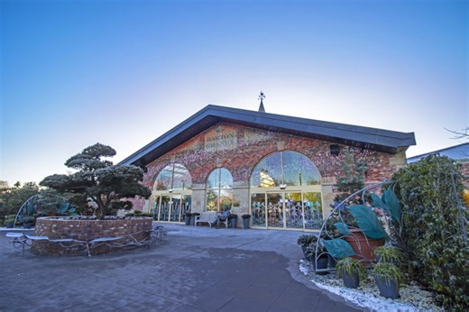 I visited the UK's best garden centre... it's Christmas display is insane