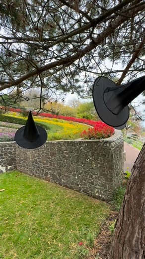 From Day to Night at Pecoramas Halloween October Half Term. What a great evening we had. So lovely to see everyone. Can’t wait till next year. We still have our day time trail till Saturday 1st November. Then that’s a wrap for season 2025. 🎃👻🧪 | Pecorama