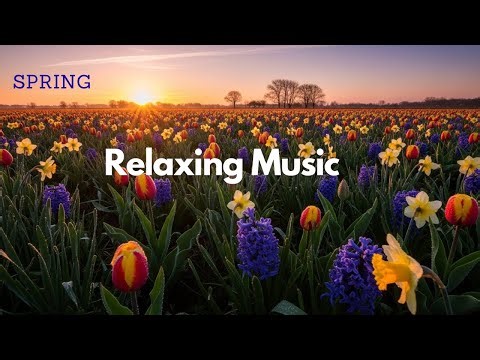 Beautiful Spring Music 🌿 Relaxing Piano with Birds Singing – Calm, Peaceful Background#relaxingmusic