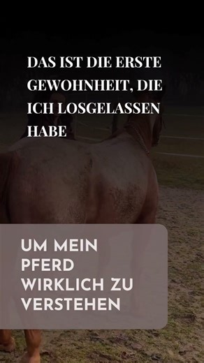 um mein Pferd wirklich zu verstehen