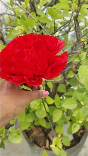 🌸 DIY Crape Paper Flower | Easy Handmade Paper Flower Tutorial 🌸 #crafty_neelam #shorts #craft #diy