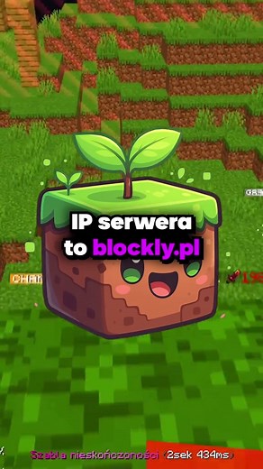 Minecraft Server IP Blockly.PL for Players
