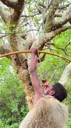 They Took a Step Closer... The Tree Didn't Stay Quiet | Bush Awareness! |एक पल काफैसला