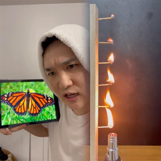 When you remember seeing an insect for the first time