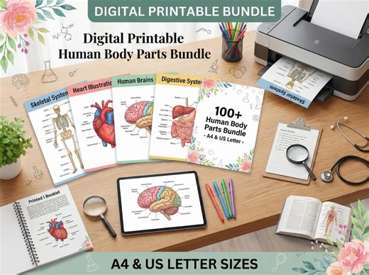 100  Human Body Parts Bundle | A4 Labeled Anatomy Components | Colored Body Illustrations | Printable Medical Study Sheets - Etsy